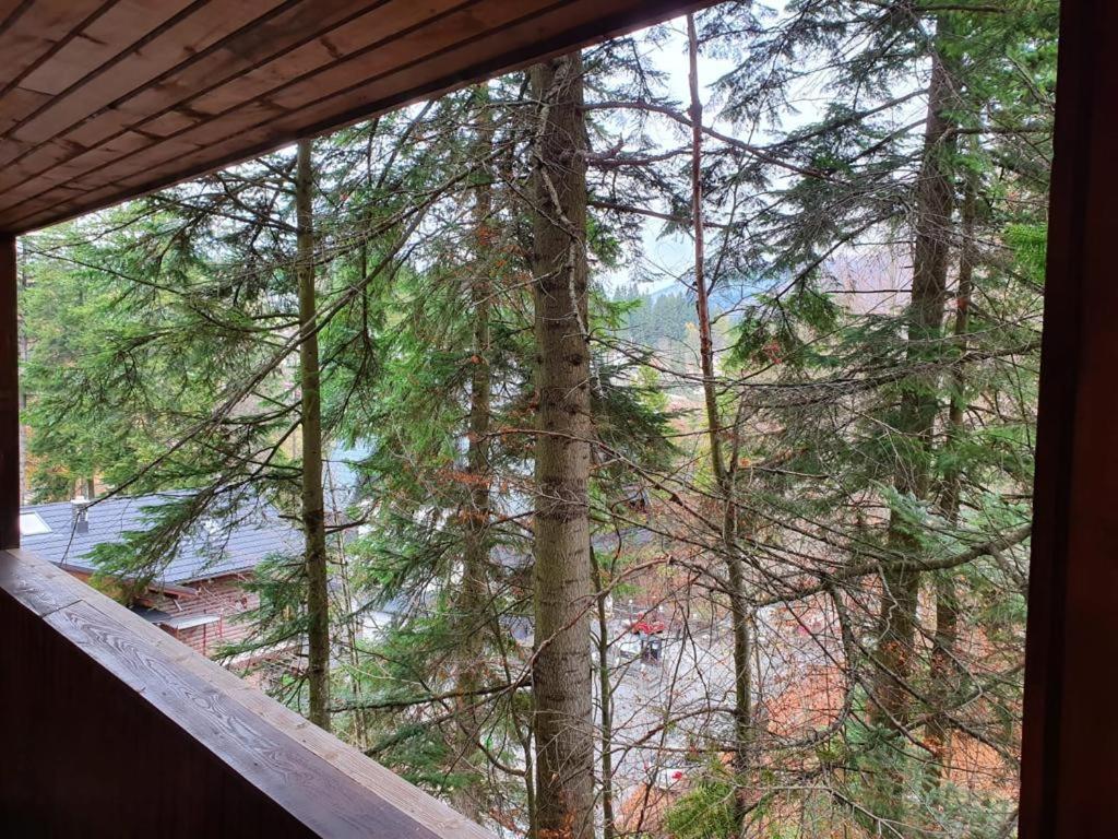 Apartamento Mikerynos 1 Sinaia Exterior foto
