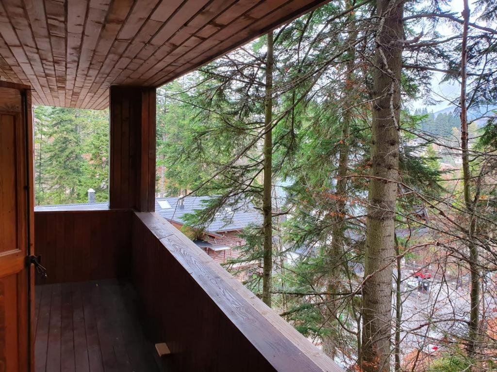 Apartamento Mikerynos 1 Sinaia Exterior foto